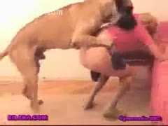 Big puppy licking his juvenile owners cum-hole and getting head
